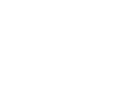 Leatherise